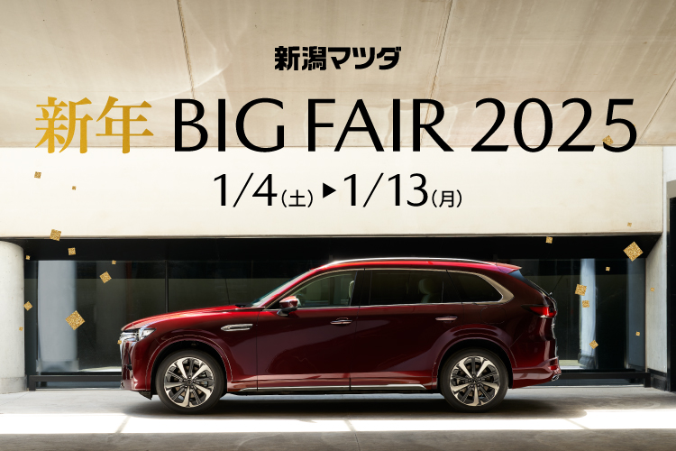 2025年新春 BIG FAIR