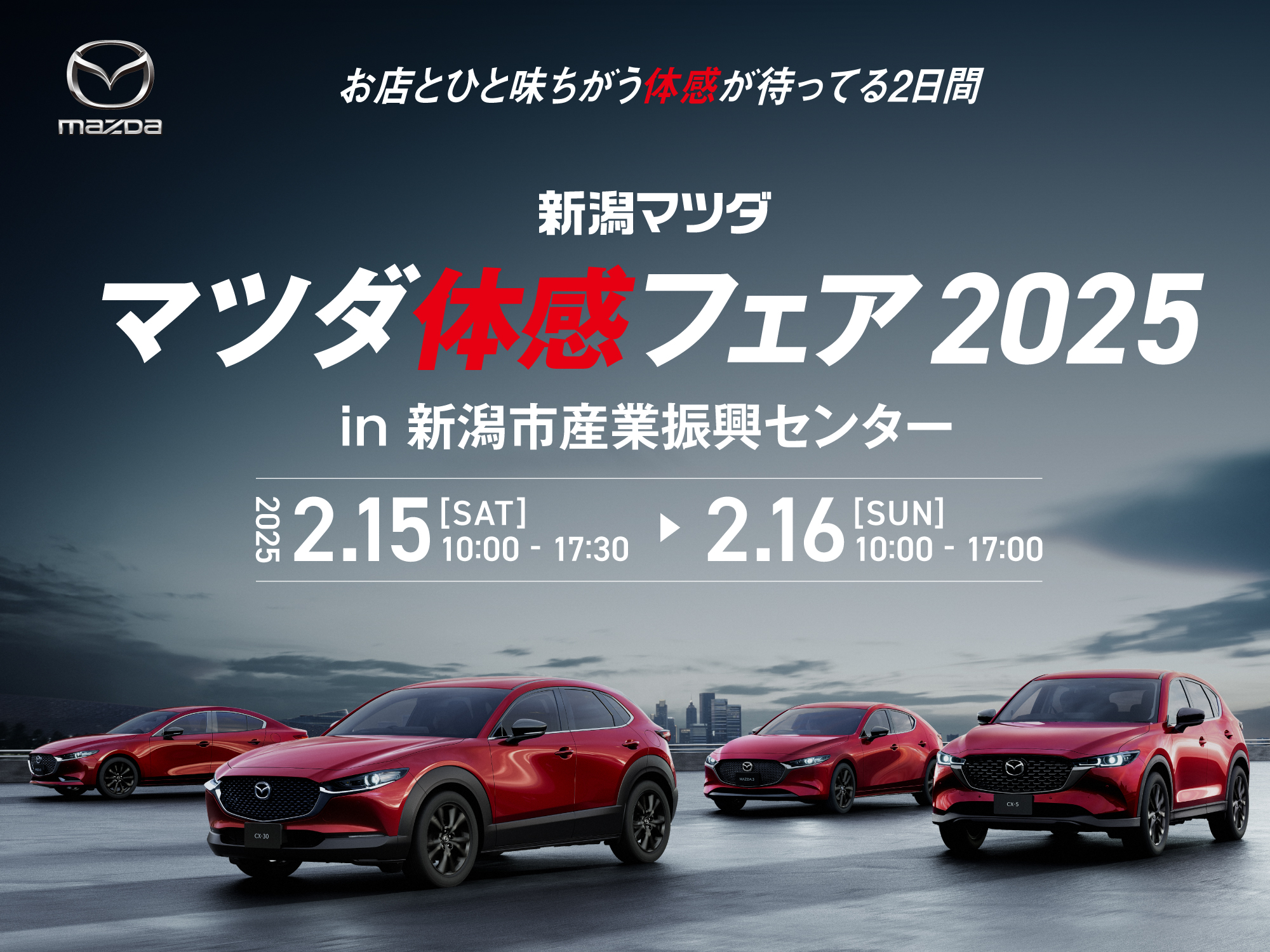 マツダ体感フェア2025 in 新潟市産業振興センター 開催！ | 新潟mazda